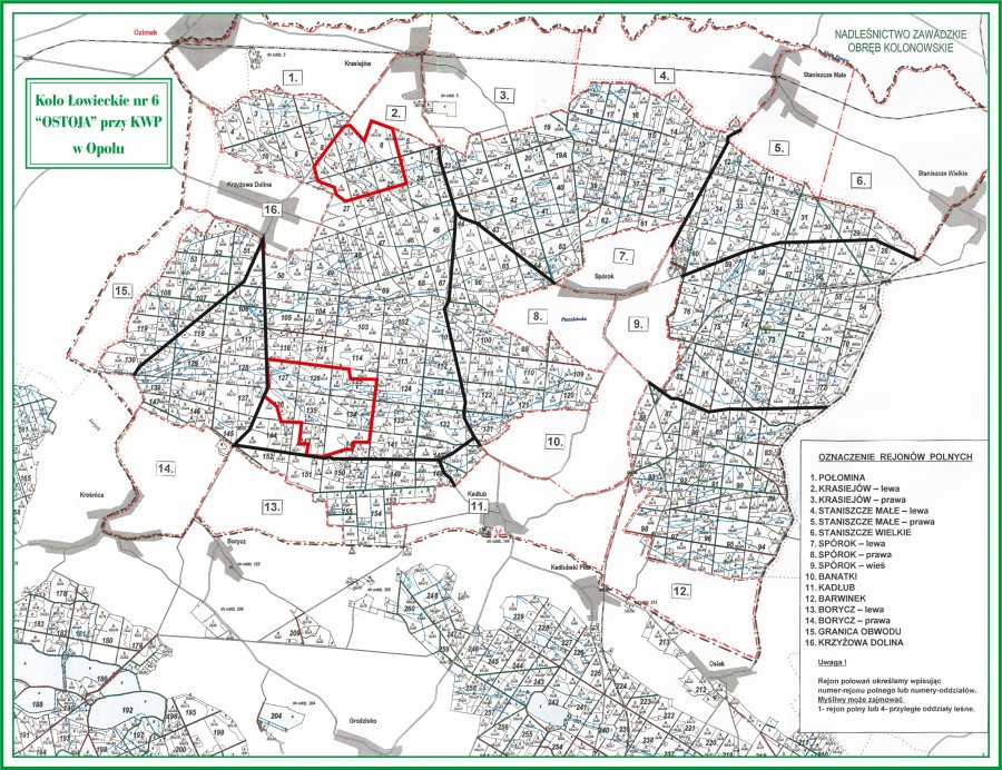 ko??o ??owieckie ostoja.jpg